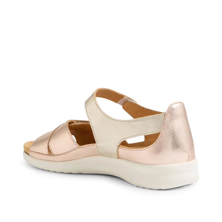 Bronn XW Metallic Multi