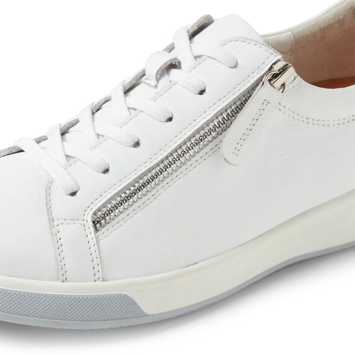 ZIERA Aito Sneaker#color_white