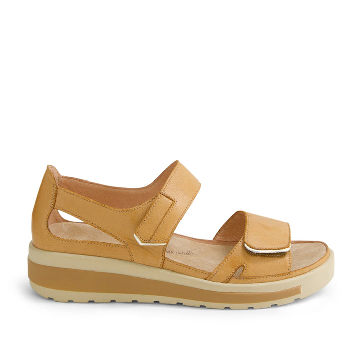 Gedd W Dark Tan Almond