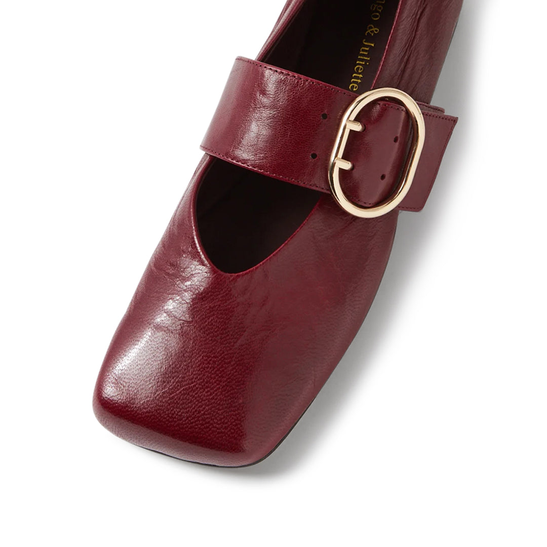 Ankitah Pinot Polish