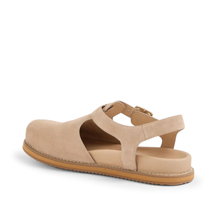 Zona Sandy Suede