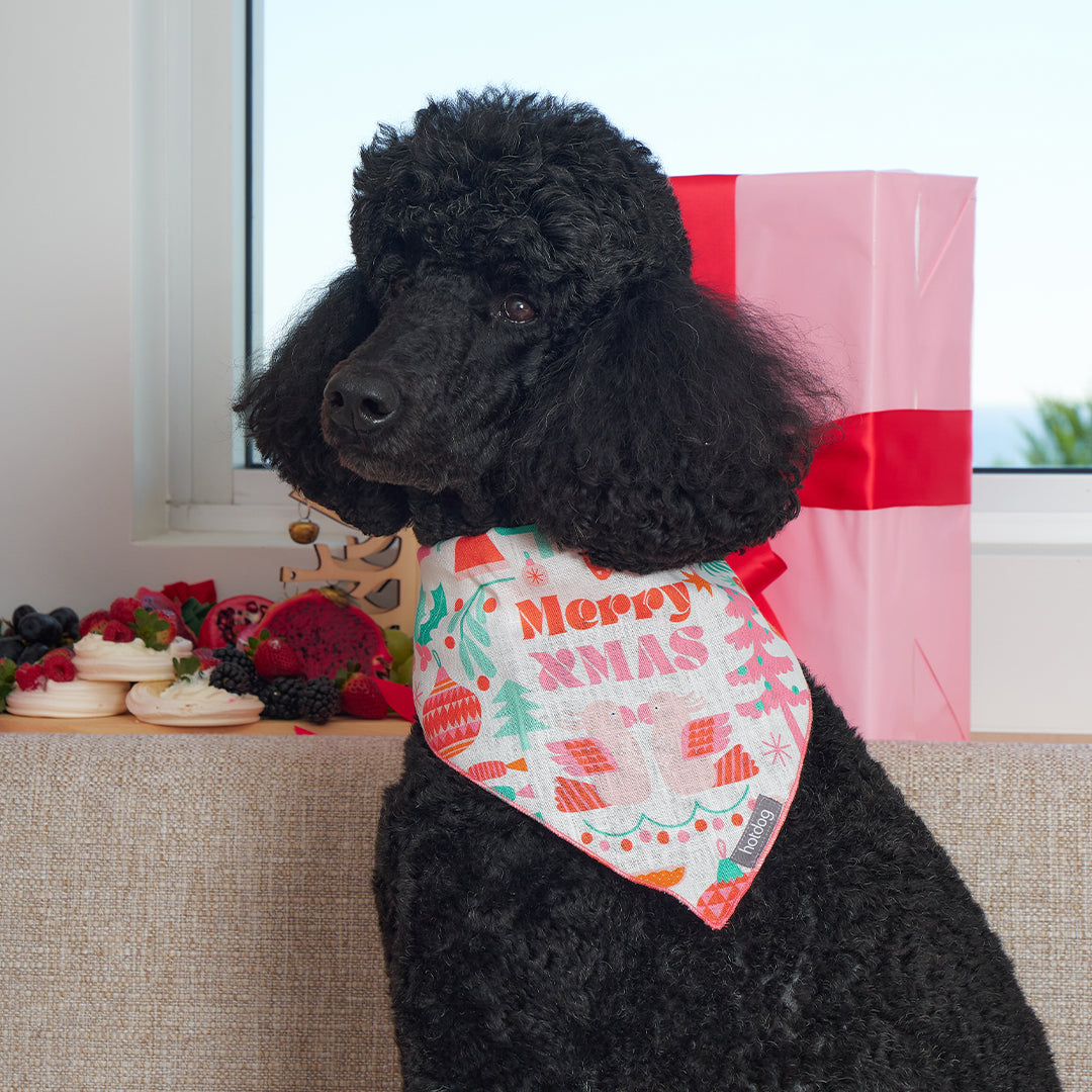 Hot Dog Bandana - Merry Xmas