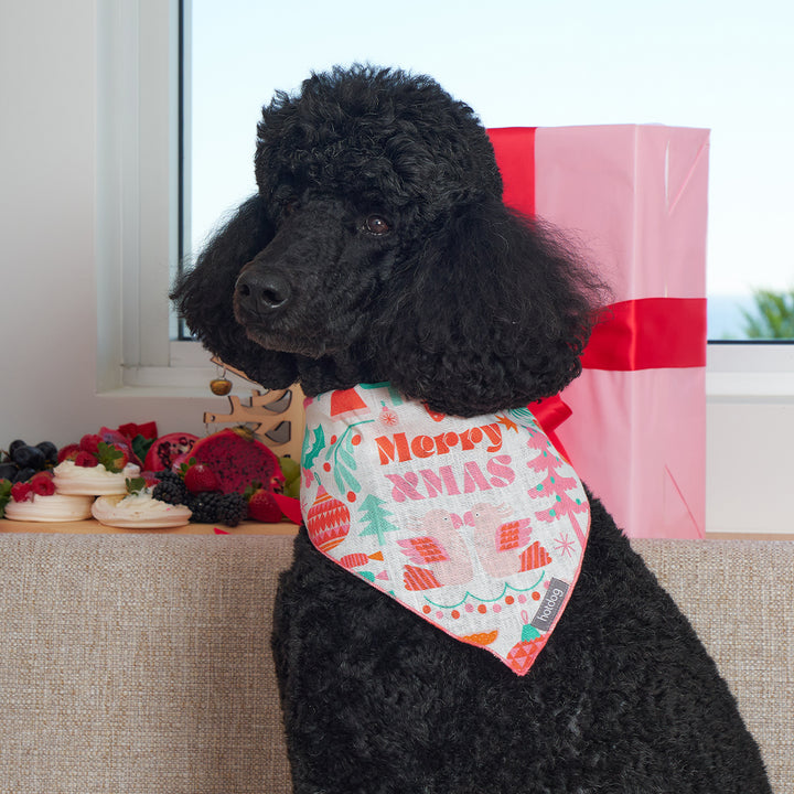 Hot Dog Bandana - Merry Xmas