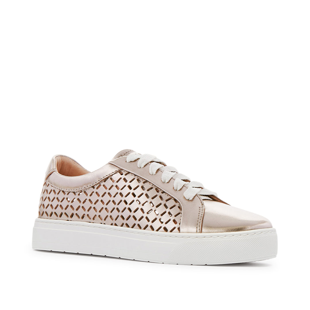 Mim V Champagne Lattice