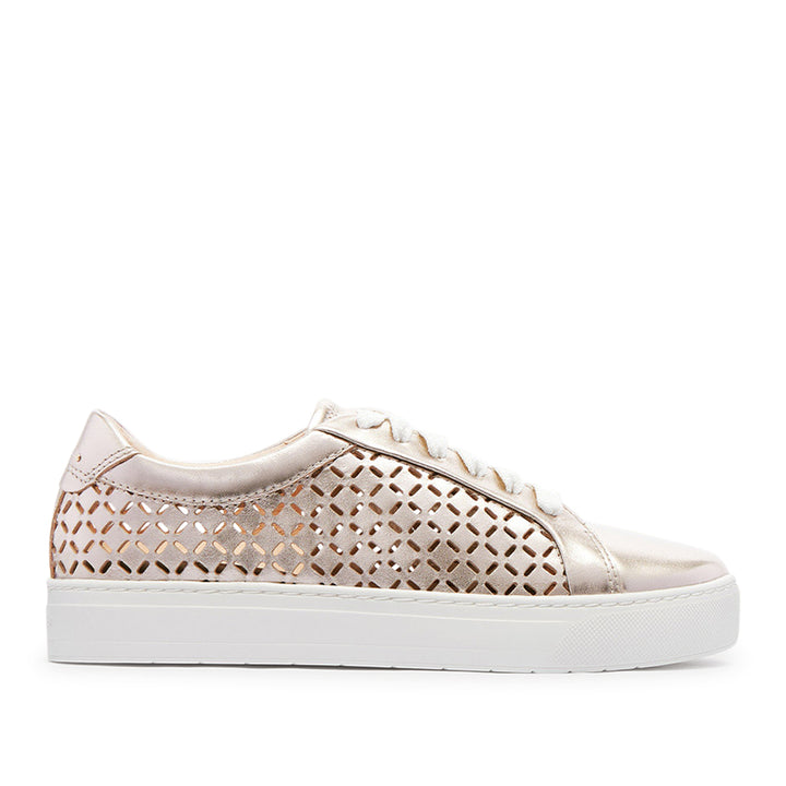 Mim V Champagne Lattice