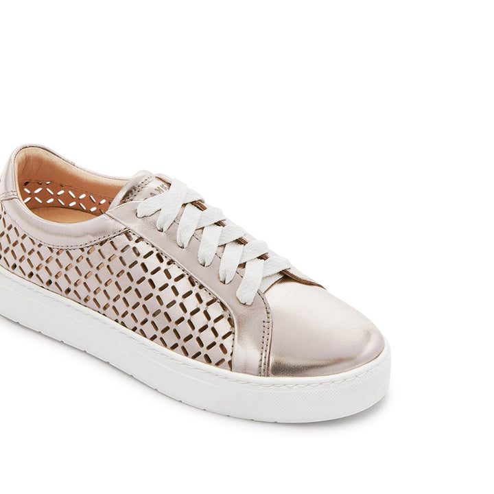 Mim V Champagne Lattice