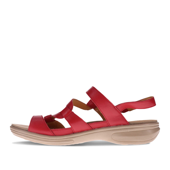 Miami M Ruby Red