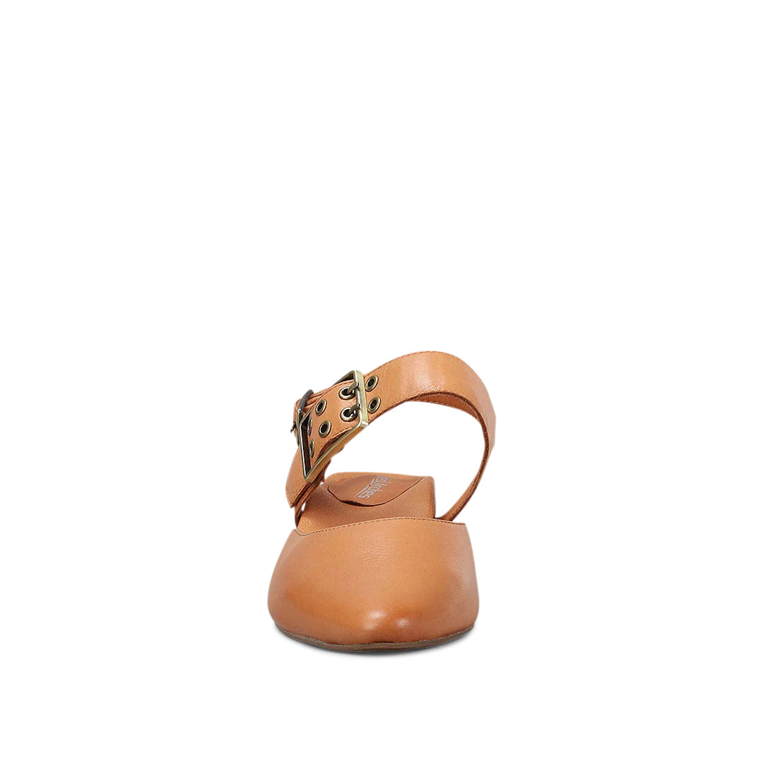 Pop Tan
