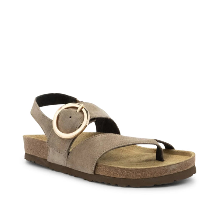 Baltimore Almond Suede