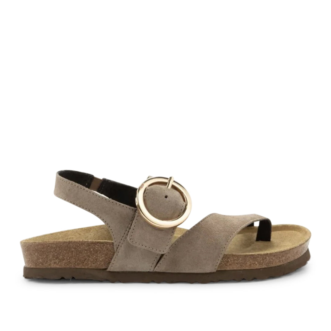 Baltimore Almond Suede
