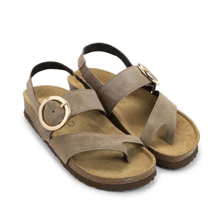 Baltimore Almond Suede