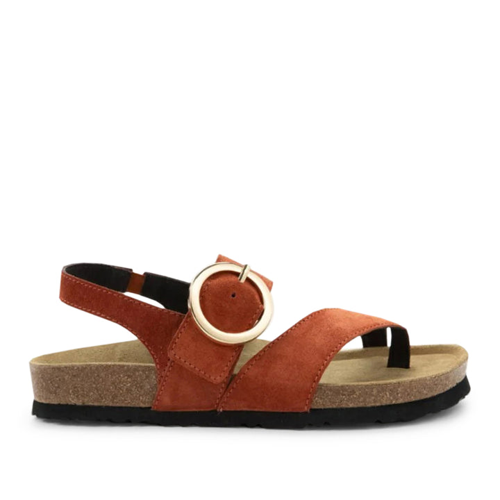 Baltimore Spice Suede