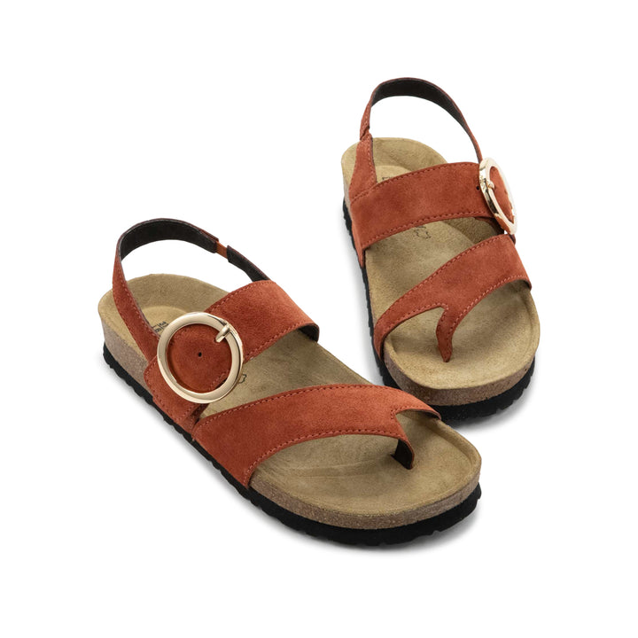 Baltimore Spice Suede