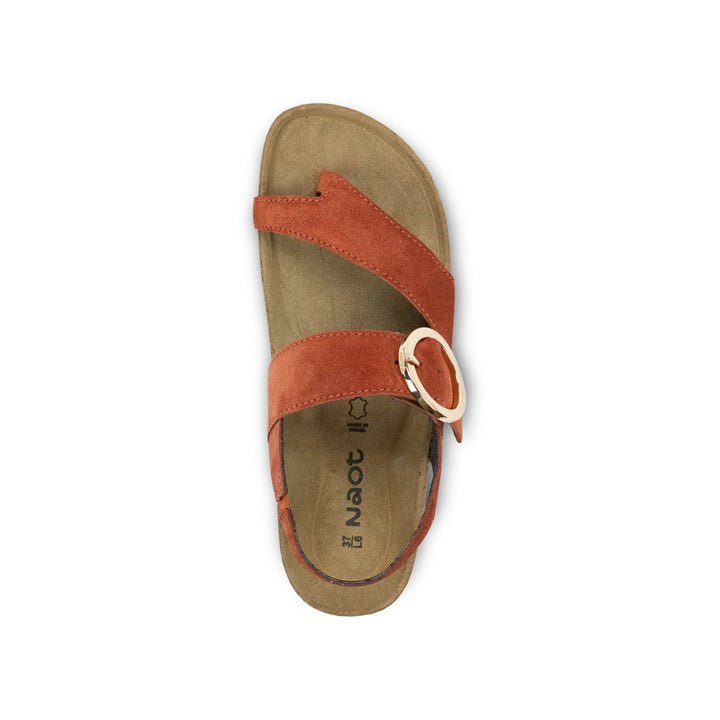 Baltimore Spice Suede