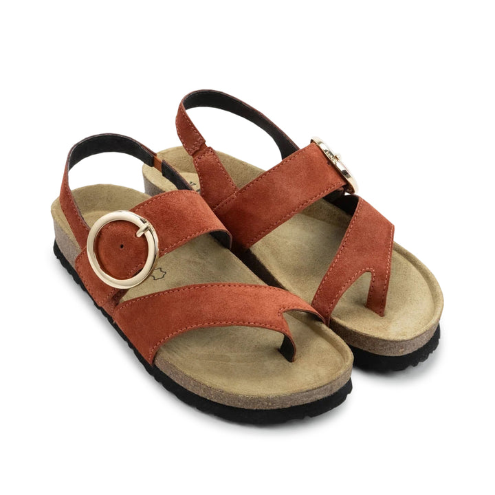 Baltimore Spice Suede