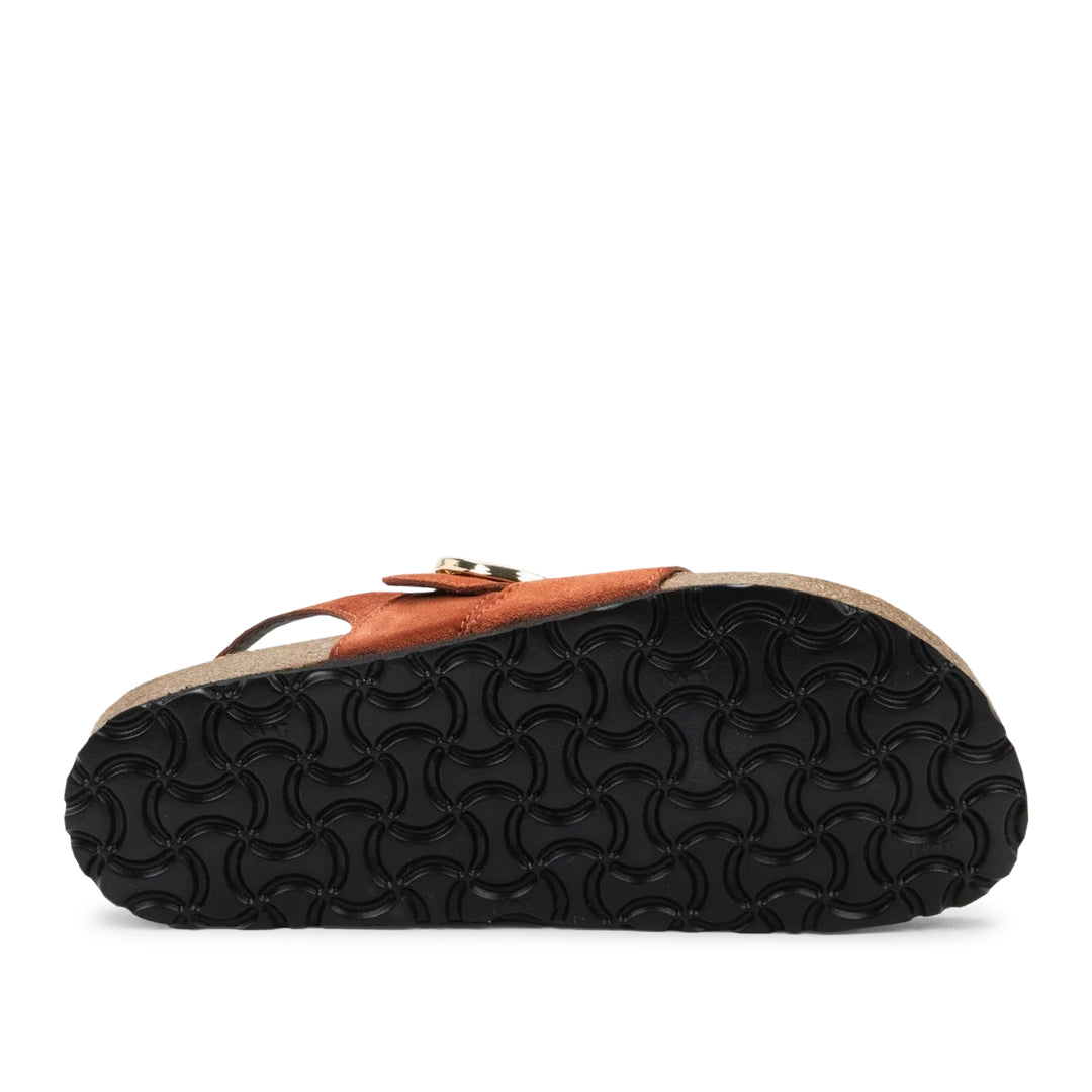 Baltimore Spice Suede