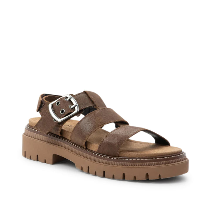 Clarkson Brown Suede
