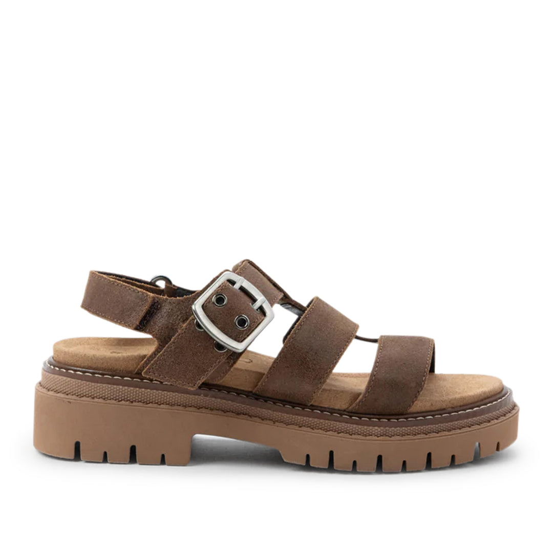 Clarkson Brown Suede
