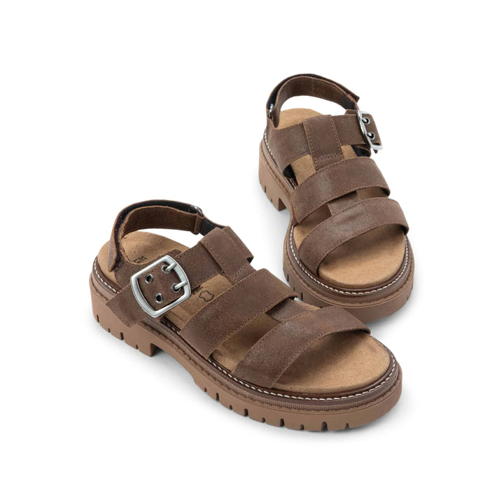 Clarkson Brown Suede