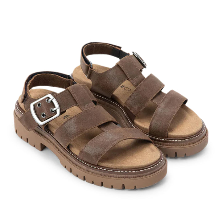 Clarkson Brown Suede