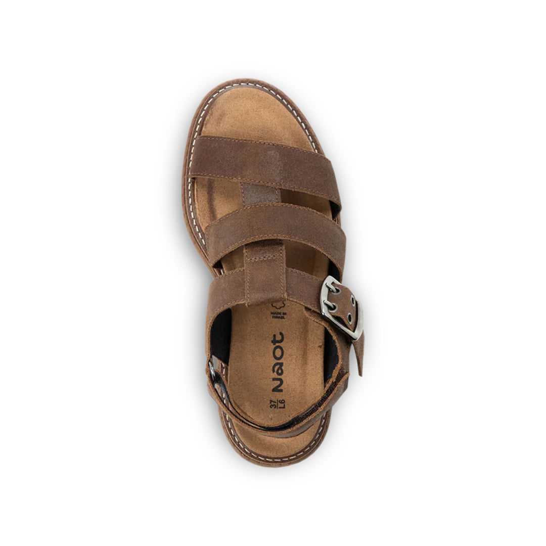 Clarkson Brown Suede