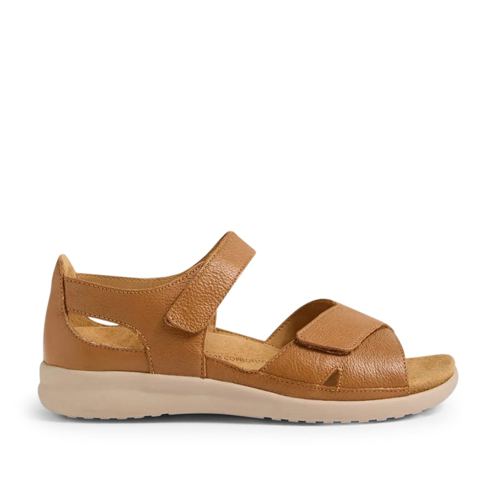 Bronn XW Dark Tan Almond