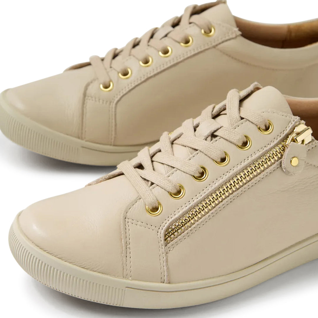 Diann XF Almond