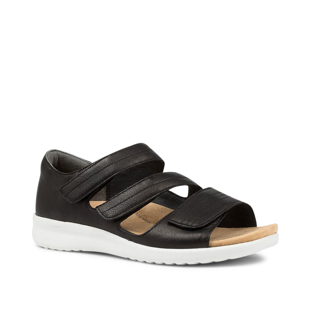 Bardot XW Black/White