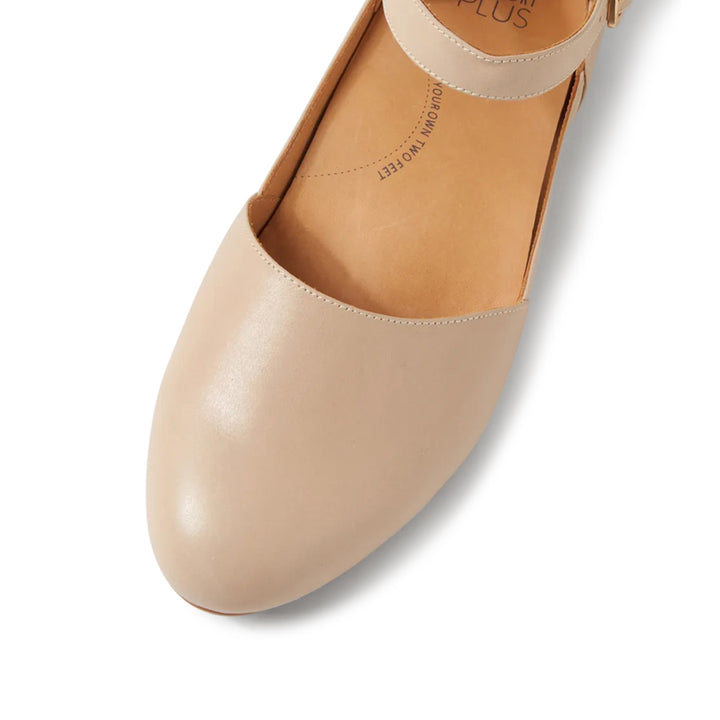 Cavalcade XF Nude
