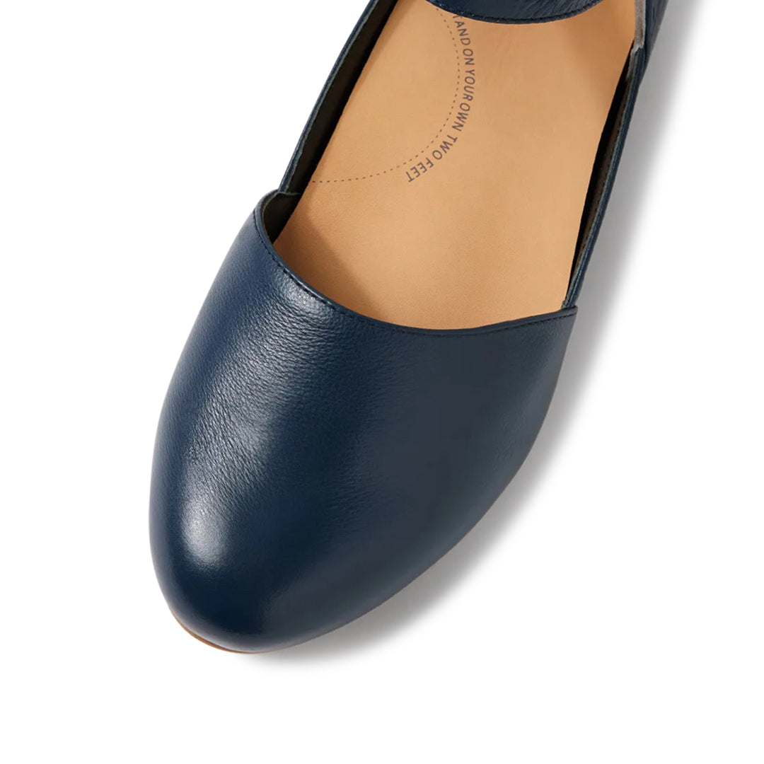 Cavalcade XF Navy