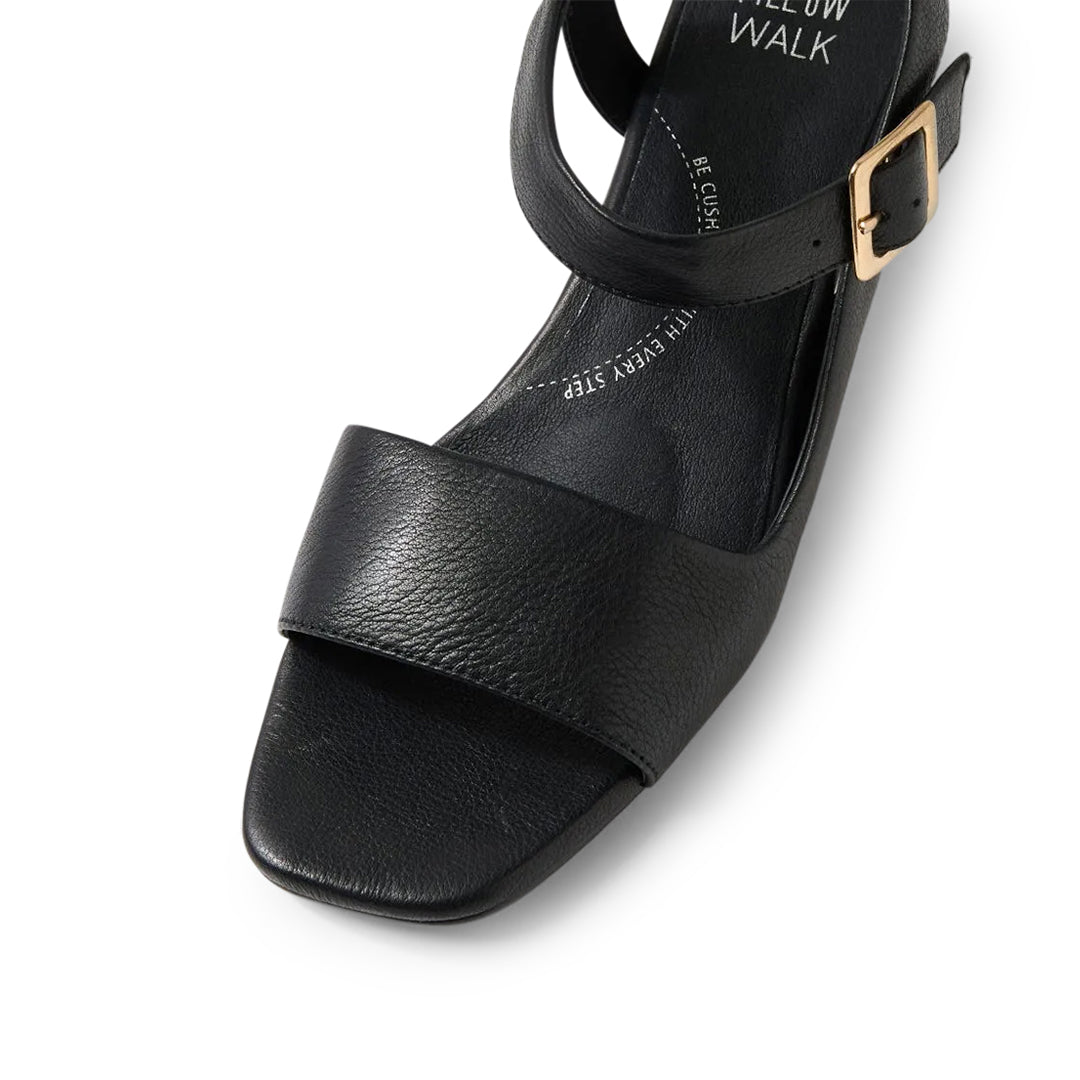 Cenda W Black