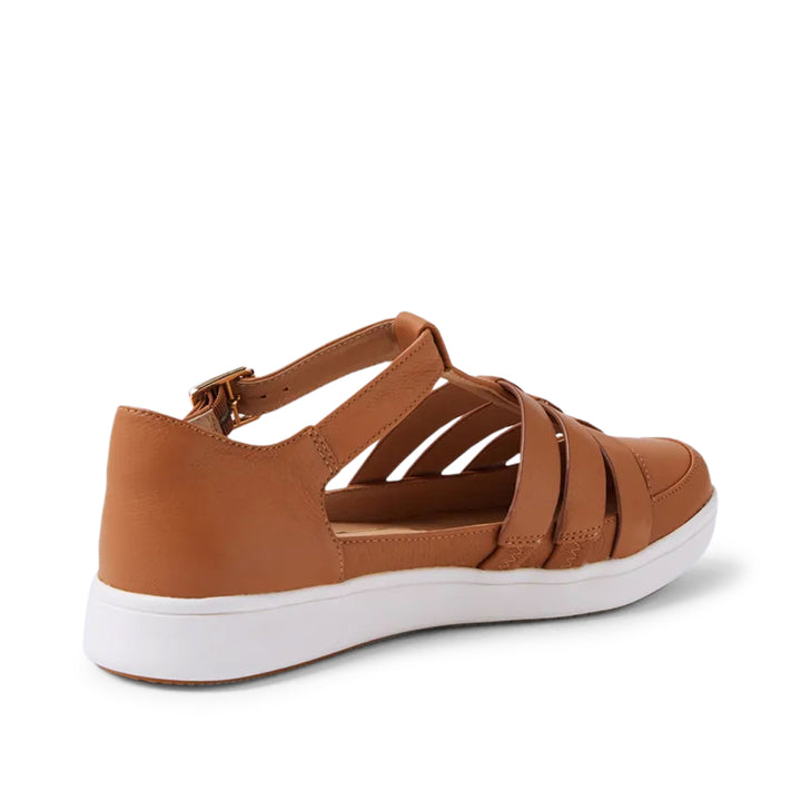 ZIERA Dianey XF Dark Tan/White