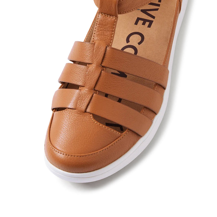 ZIERA Dianey XF Dark Tan/White