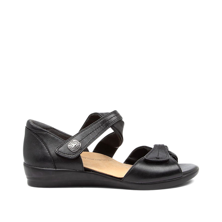 Doxie W Black