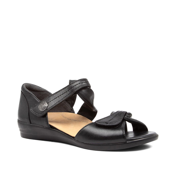 Doxie W Black