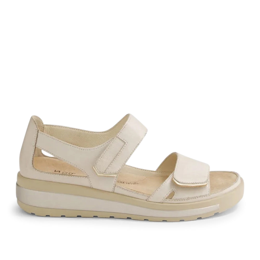 Gedd W Almond Pale Gold