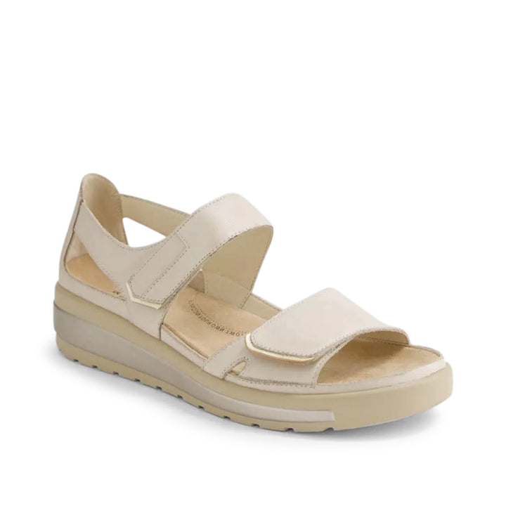 Gedd W Almond Pale Gold
