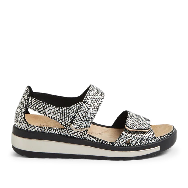 Gedd W Black &amp; Gold Print