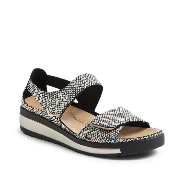 Gedd W Black &amp; Gold Print