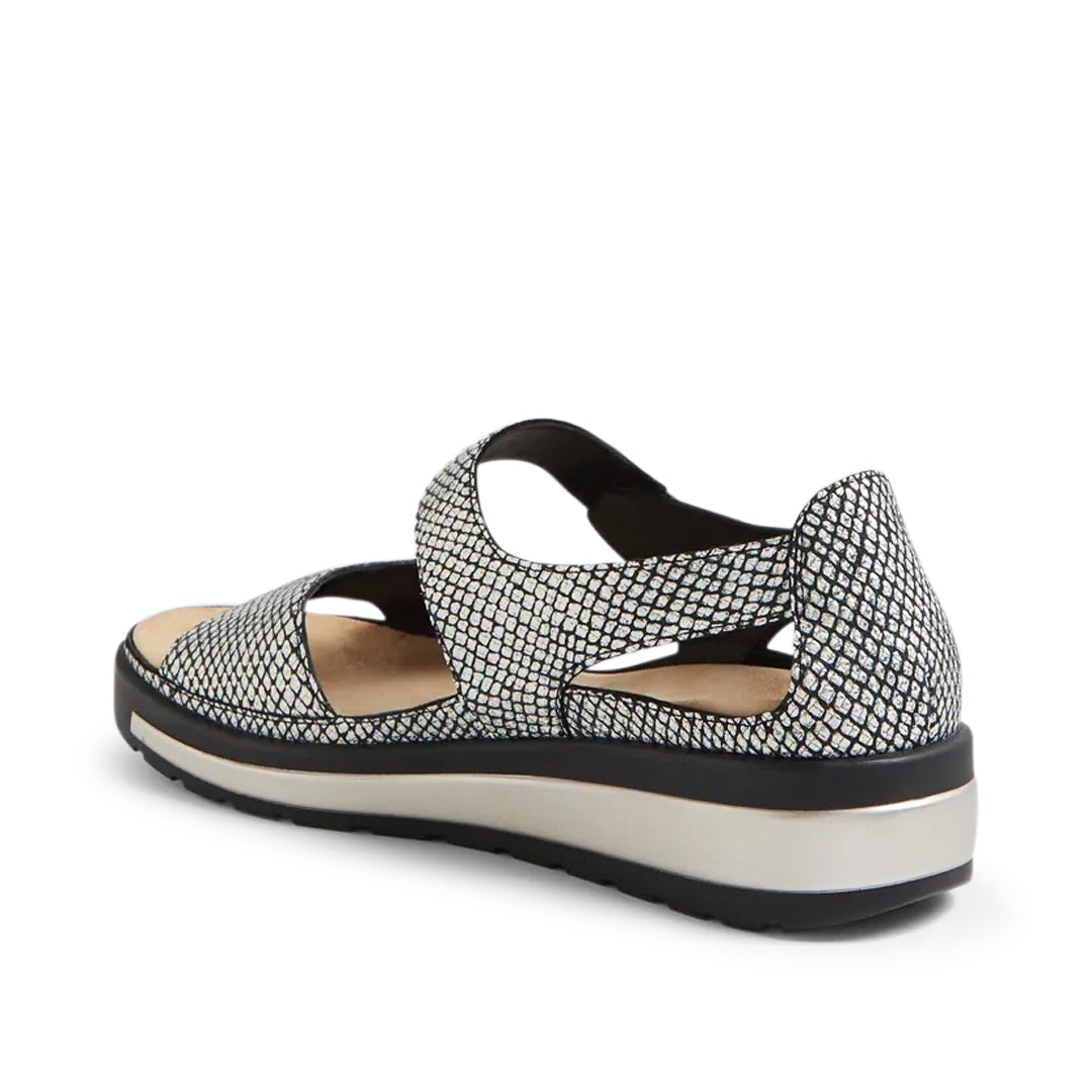 Gedd W Black &amp; Gold Print