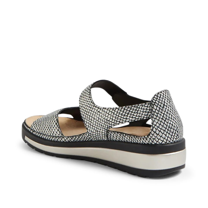 Gedd W Black &amp; Gold Print