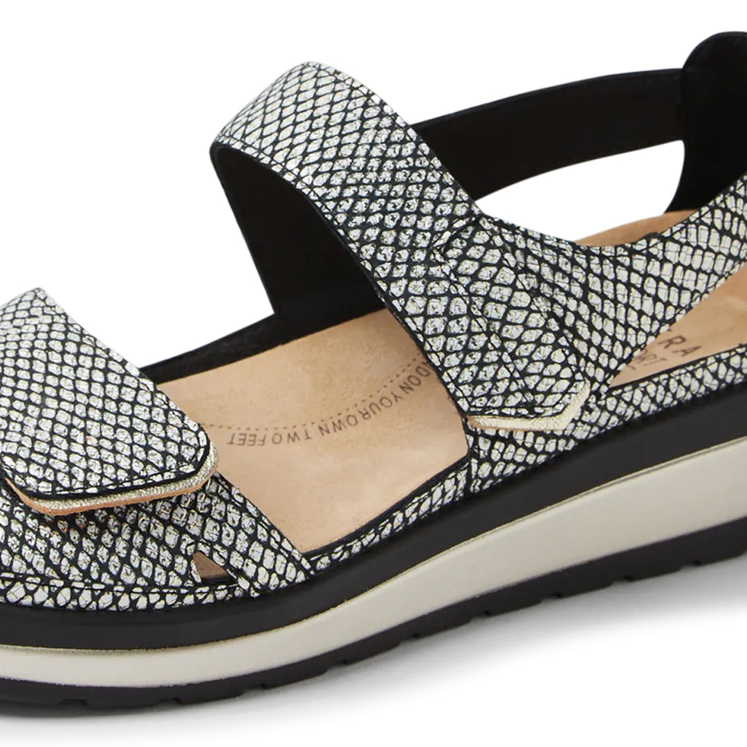 Gedd W Black &amp; Gold Print