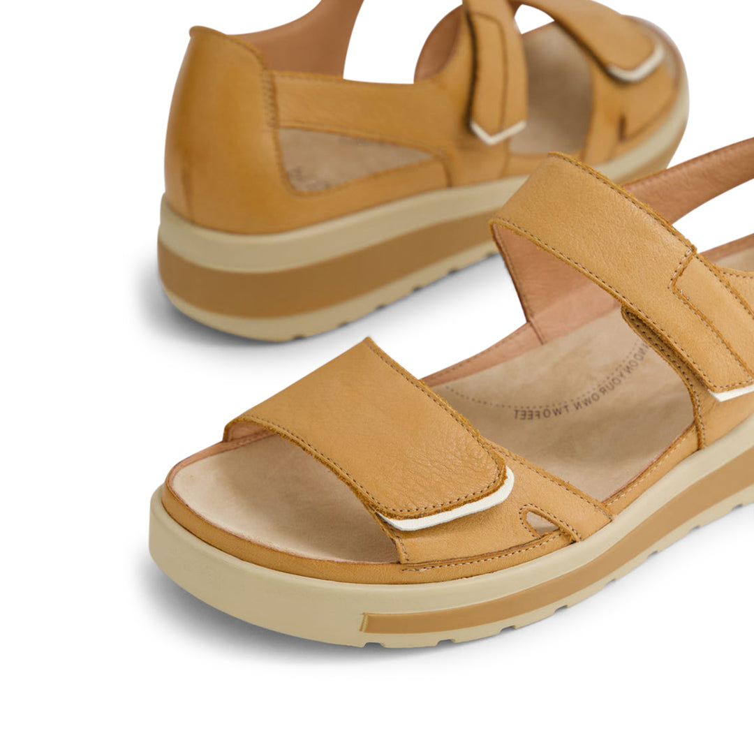 Gedd W Dark Tan Almond