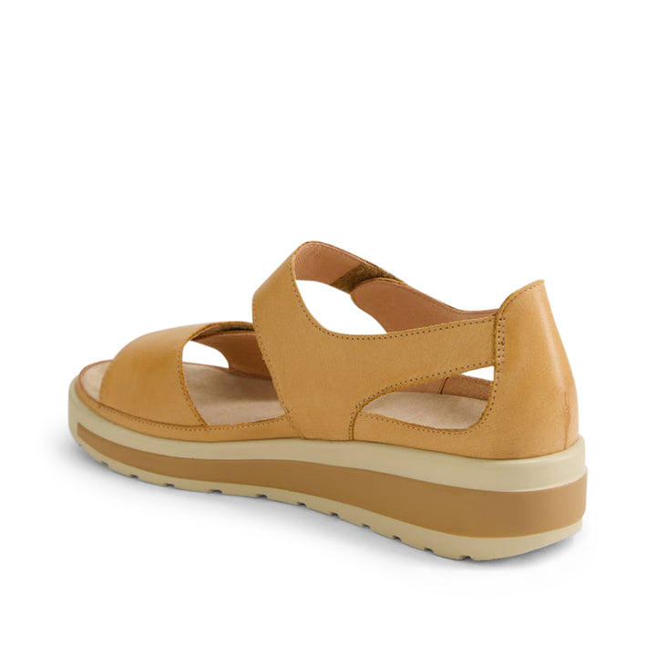 Gedd W Dark Tan Almond