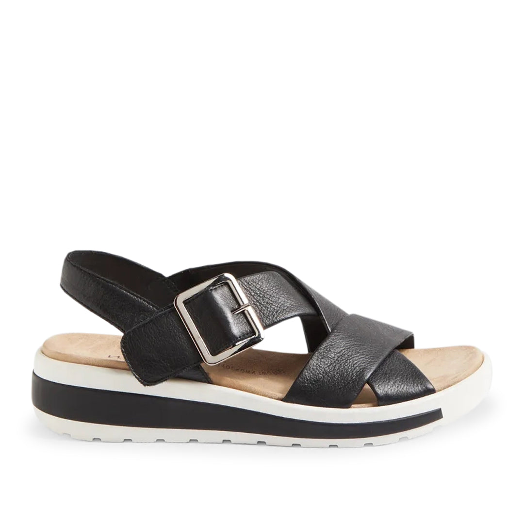Ghola W Black