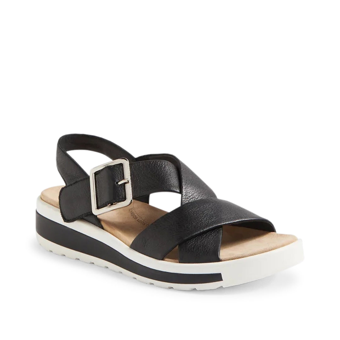 Ghola W Black