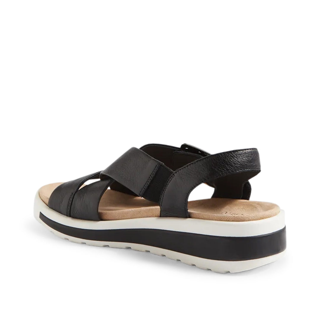 Ghola W Black