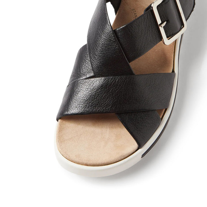 Ghola W Black
