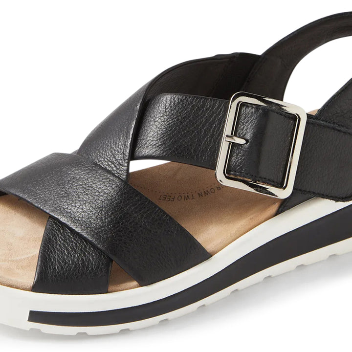 Ghola W Black