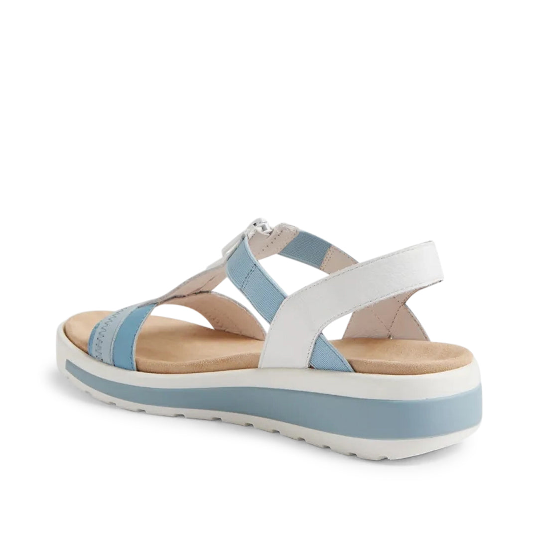 Gista W New Blue